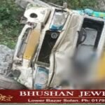 शिलाई में दर्दनाक हादसा, पिकअप खाई में गिरी, युवक की मौत।